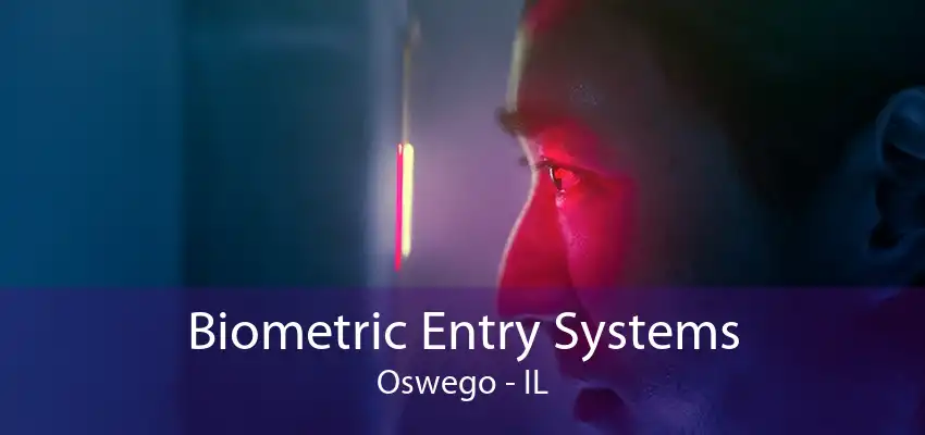 Biometric Entry Systems Oswego - IL