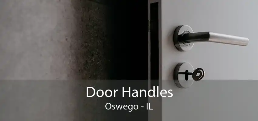 Door Handles Oswego - IL