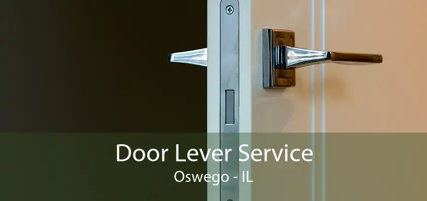 Door Lever Service Oswego - IL