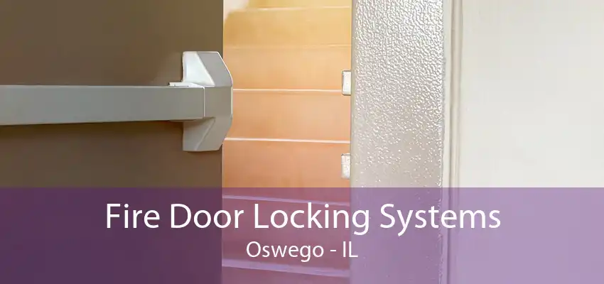 Fire Door Locking Systems Oswego - IL