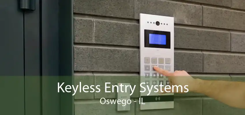 Keyless Entry Systems Oswego - IL