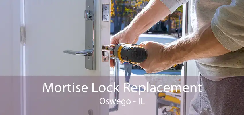 Mortise Lock Replacement Oswego - IL