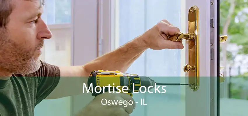 Mortise Locks Oswego - IL