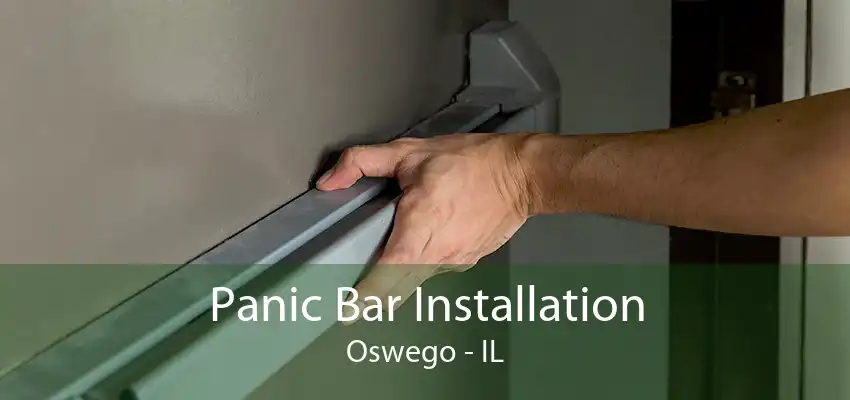 Panic Bar Installation Oswego - IL