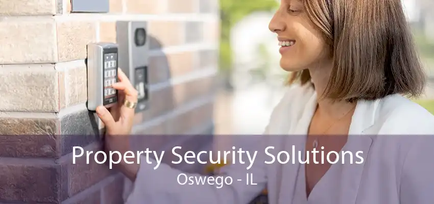 Property Security Solutions Oswego - IL